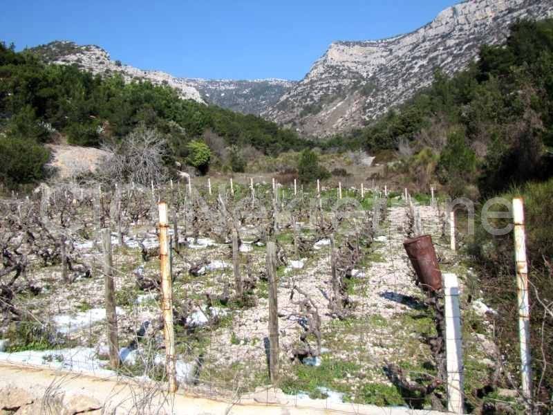 Agricultural plot, Sale, Bol, Bol