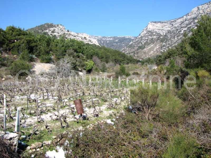 Agricultural plot, Sale, Bol, Bol