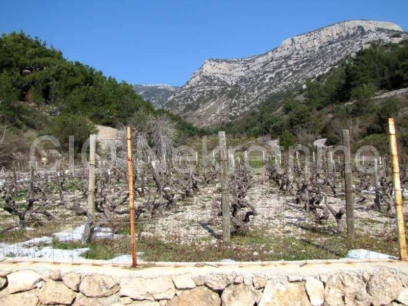 Agricultural plot, Sale, Bol, Bol