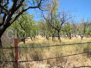 Agricultural land, Sale, Bol, Bol