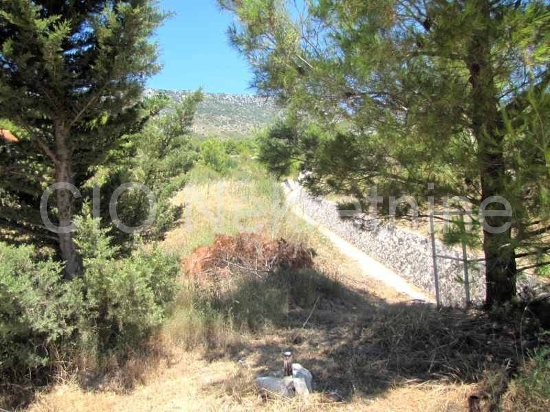 Agricultural land, Sale, Bol, Bol