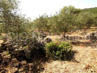 Land mix, Sale, Marina, Dograde