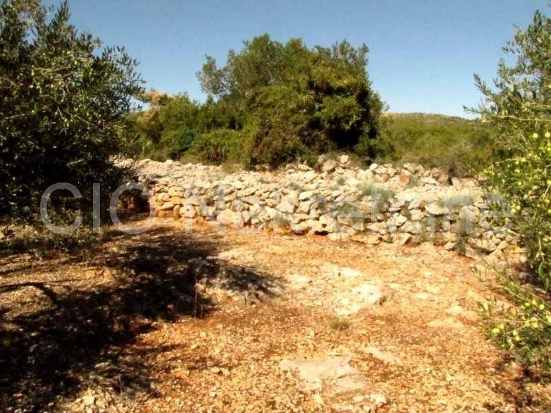 Land mix, Sale, Marina, Dograde