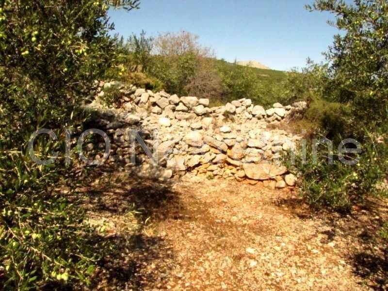 Land mix, Sale, Marina, Dograde