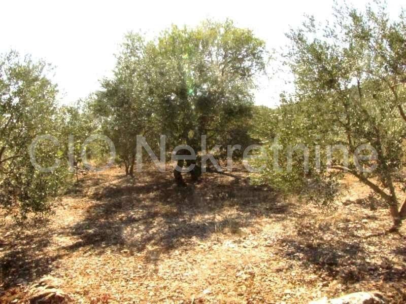 Land mix, Sale, Marina, Dograde