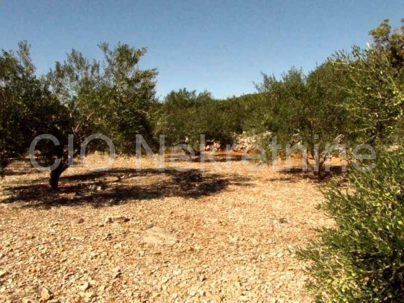 Land mix, Sale, Marina, Dograde