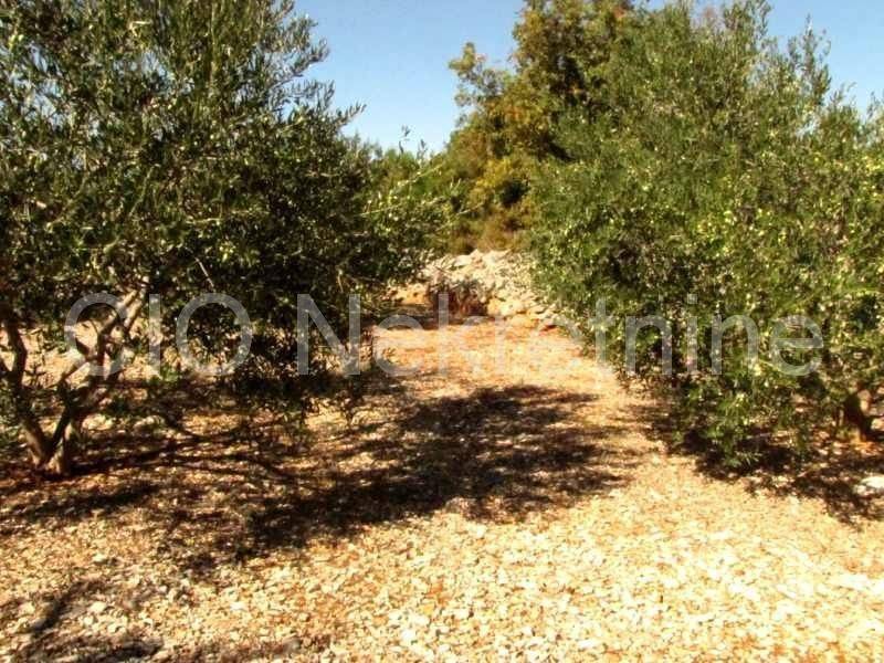 Land mix, Sale, Marina, Dograde