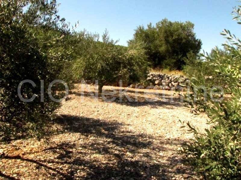 Land mix, Sale, Marina, Dograde