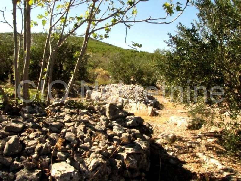 Land mix, Sale, Marina, Dograde