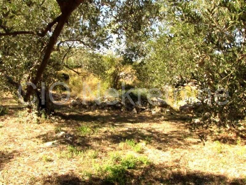 Land mix, Sale, Marina, Dograde