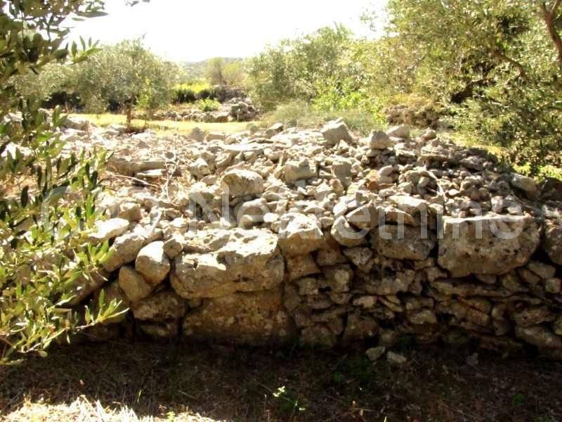 Land mix, Sale, Marina, Dograde