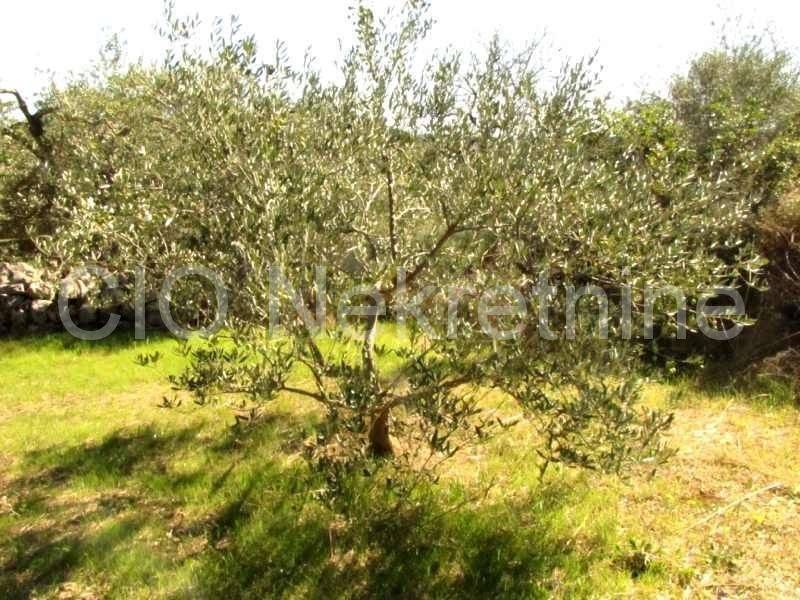 Land mix, Sale, Marina, Dograde