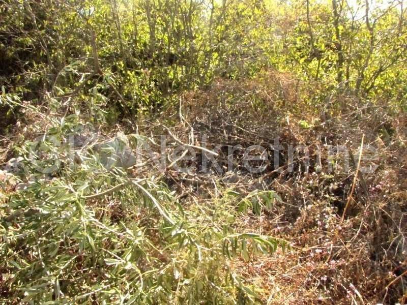 Land mix, Sale, Marina, Dograde