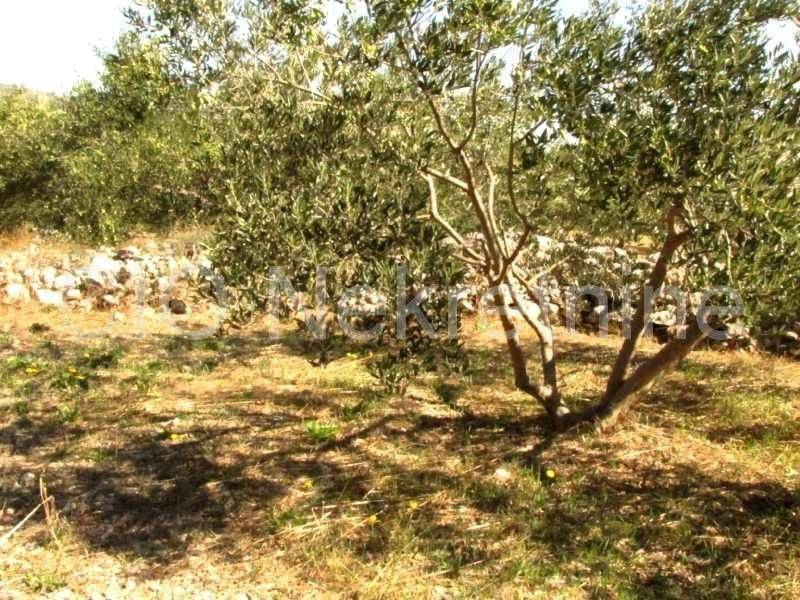 Land mix, Sale, Marina, Dograde