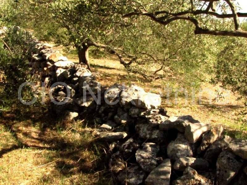 Land mix, Sale, Marina, Dograde