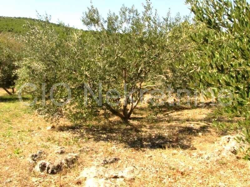 Land mix, Sale, Marina, Dograde