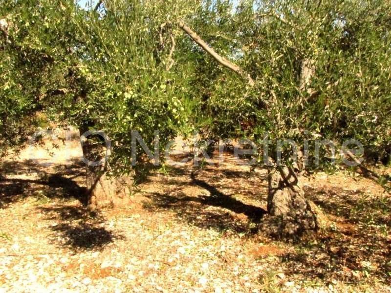 Land mix, Sale, Marina, Dograde