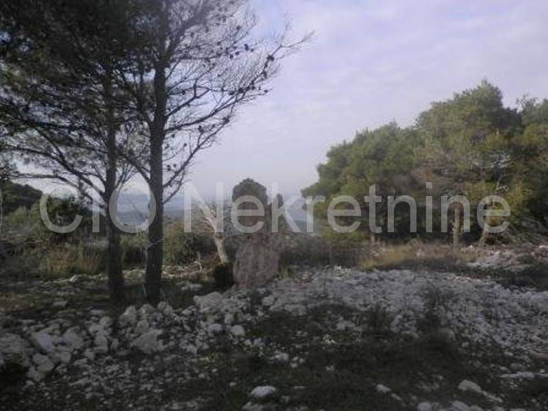 Agricultural land, Sale, Primošten, Primošten Burnji
