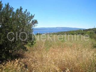 Agricultural land, Sale, Bol, Bol