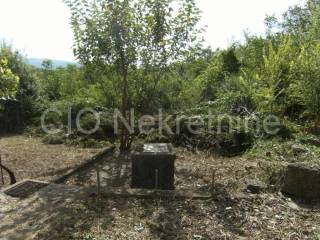 Stone house, Sale, Sinj, Glavice