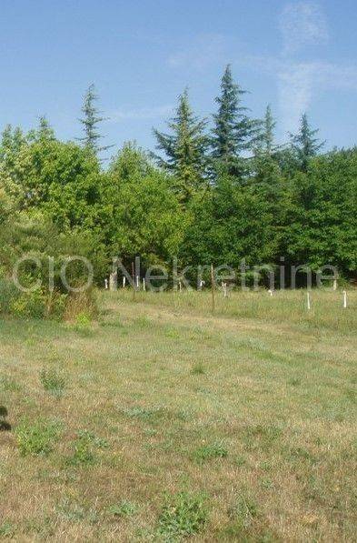 Stone house, Sale, Sinj, Glavice