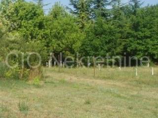 Stone house, Sale, Sinj, Glavice