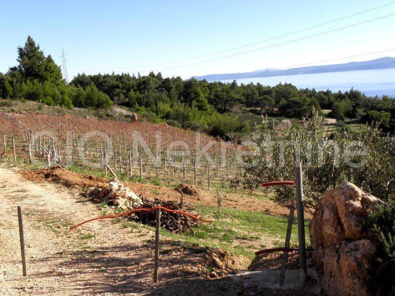 Agricultural plot, Sale, Bol, Bol