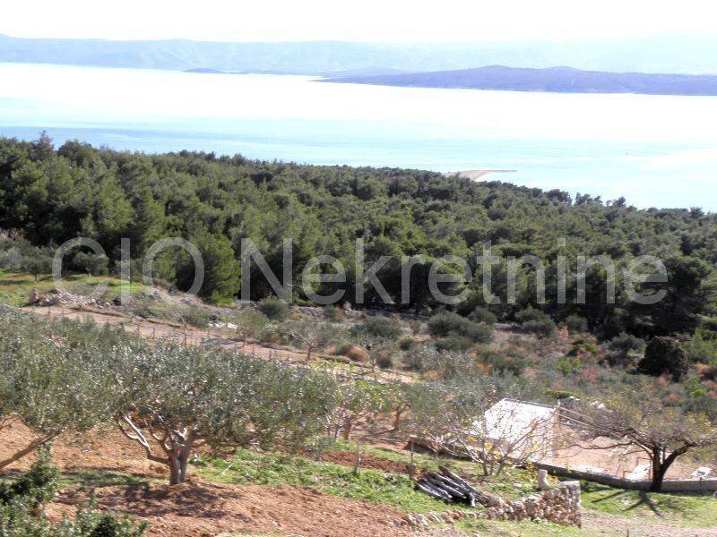 Agricultural plot, Sale, Bol, Bol