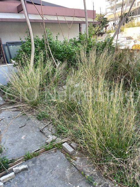 Semi-detached house, Sale, Split, Split