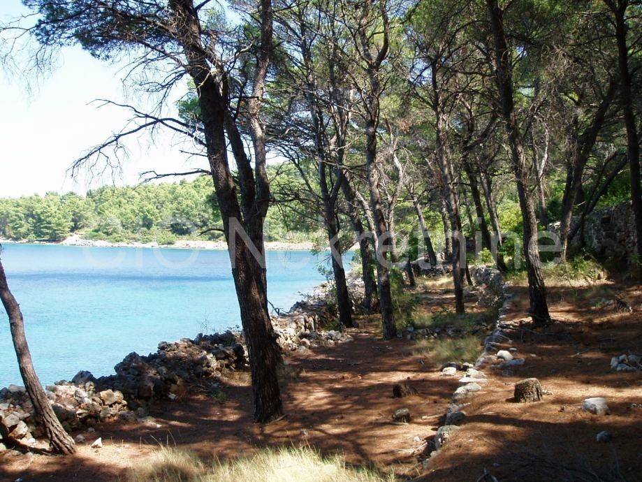 Agricultural plot, Sale, Hvar, Velo Grablje