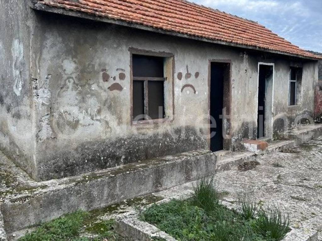 Stone house, Sale, Marina, Vrsine