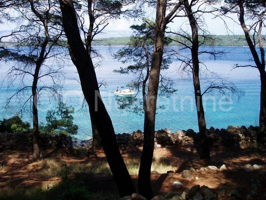 Agricultural plot, Sale, Hvar, Velo Grablje