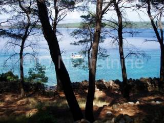 Agricultural plot, Sale, Hvar, Velo Grablje