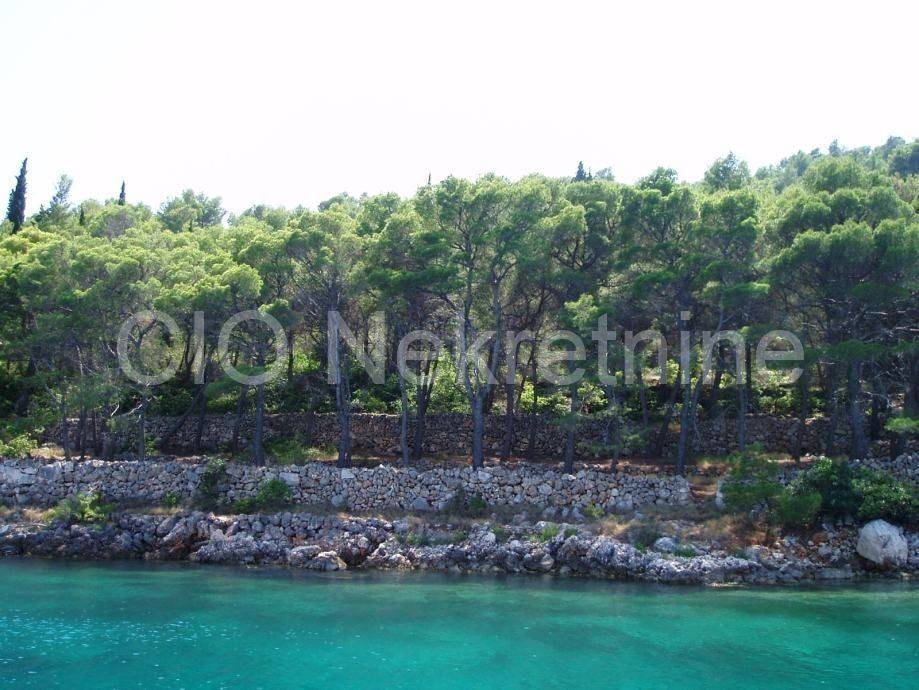 Agricultural plot, Sale, Hvar, Velo Grablje