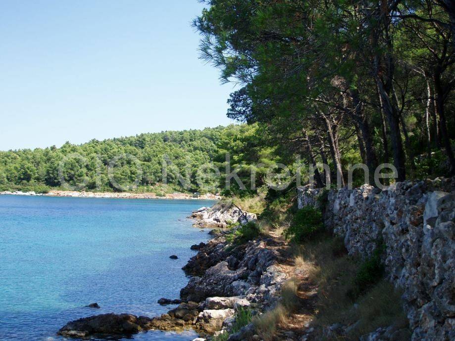 Agricultural plot, Sale, Hvar, Velo Grablje