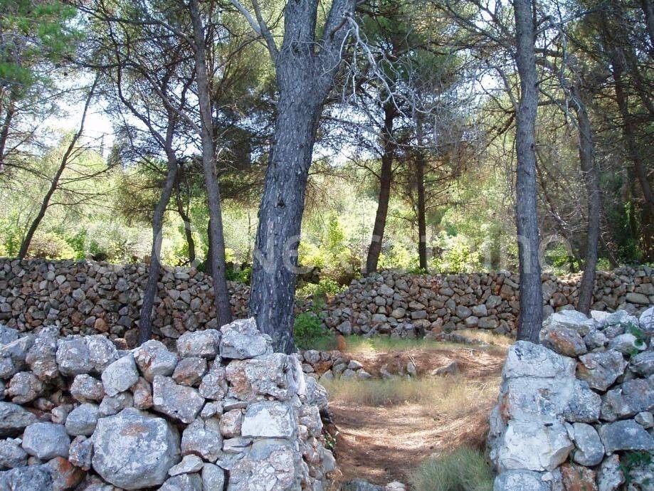 Agricultural plot, Sale, Hvar, Velo Grablje