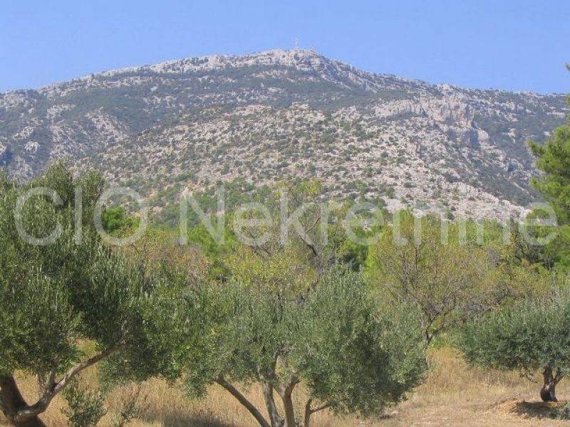 Agricultural land, Sale, Nerežišća, Nerežišća