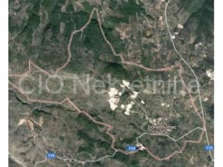 Agricultural land, Sale, Nerežišća, Donji Humac