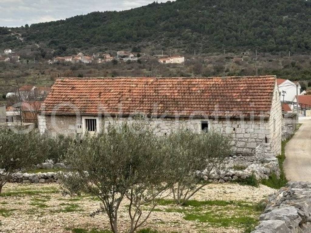 Stone house, Sale, Marina, Vrsine