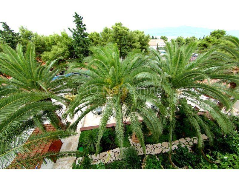 Hotel, Sale, Supetar, Supetar