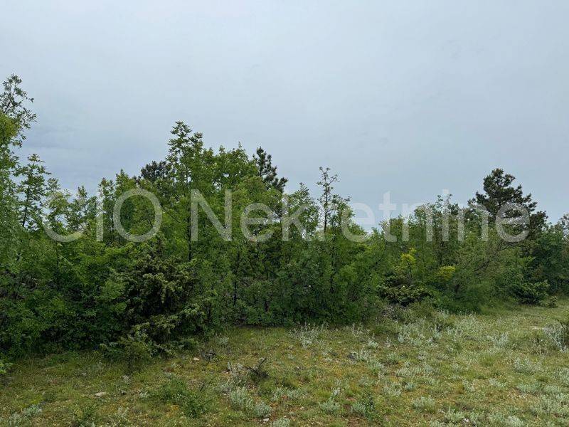 Agricultural plot, Sale, Knin, Žagrović