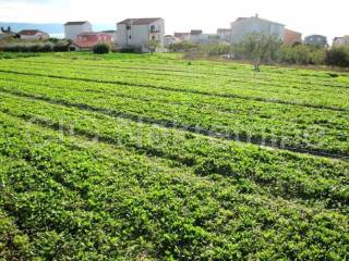Plot for construction, Sale, Podstrana, Podstrana