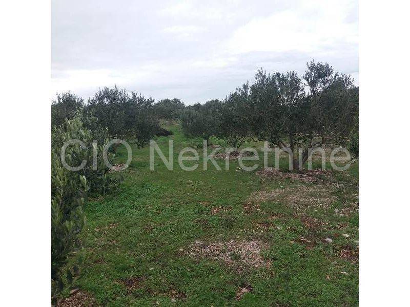 Land with a stone house, Sale, Supetar, Supetar