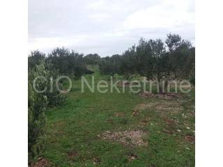Land with a stone house, Sale, Supetar, Supetar