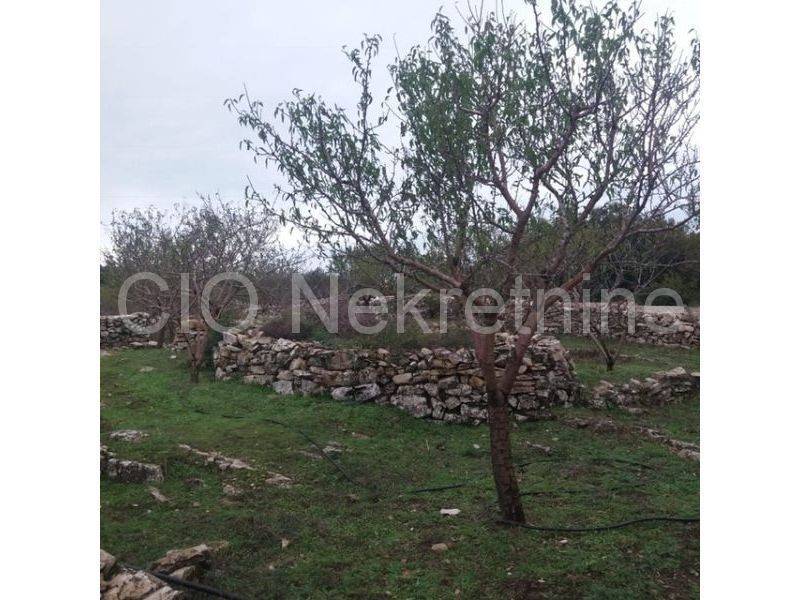 Land with a stone house, Sale, Supetar, Supetar