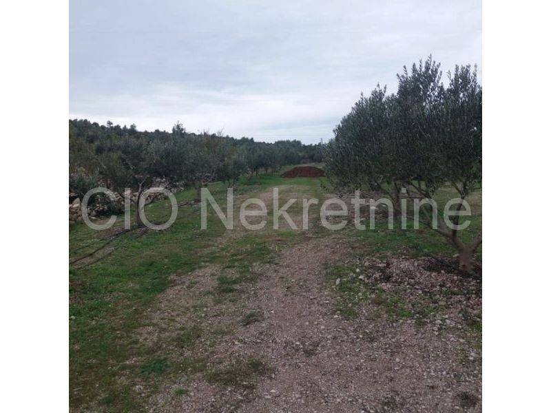 Land with a stone house, Sale, Supetar, Supetar