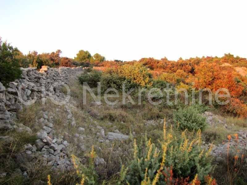 Agricultural plot, Sale, Rogoznica, Ražanj