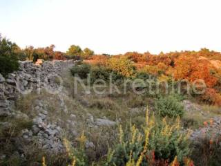 Agricultural plot, Sale, Rogoznica, Ražanj