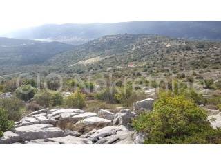 Agricultural plot, Sale, Marina, Marina