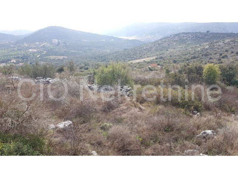 Agricultural plot, Sale, Marina, Marina